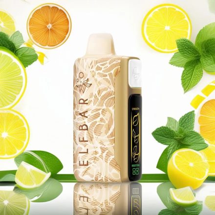 ELF BAR NICOTINE KING 40000 – LEMON LIME ICE TEA 5% – RECHARGEABLE