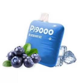 ELF BAR PI9000 - Blueberry Ice 5% - RECHARGEABLE ELF BAR PI9000 - Blueberry Ice 5% - RECHARGEABLE